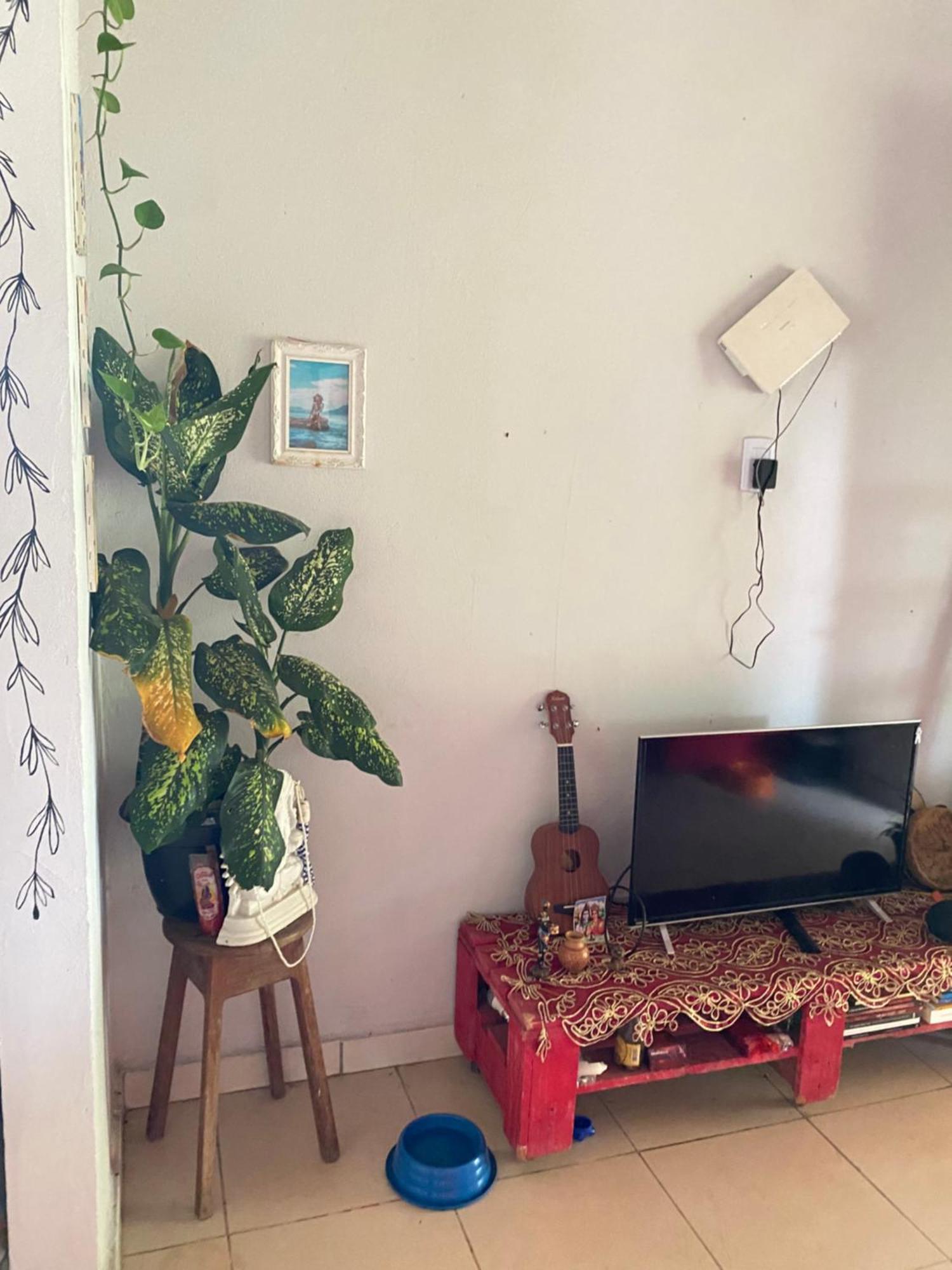 Casa Na Floresta Cosmica Ananindeua Eksteriør billede